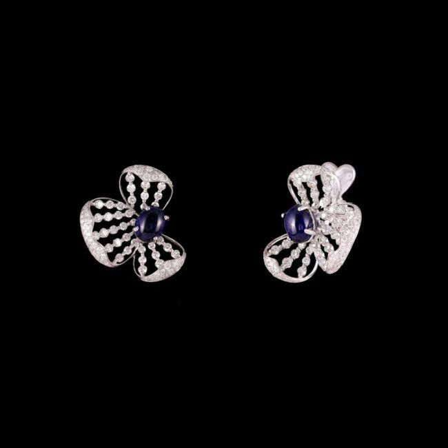 Alternative view of CJSER1013 - ERS220326